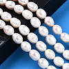 Natural Cultured Freshwater Pearl Beads Strands PEAR-N012-08D-2