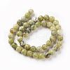 Natural Yellow Turquoise(Jasper) Beads Strands G-Q462-10mm-22-2