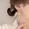 DIY Blank Dome & Feater Shape Stainless Steel Dangle Earring Making Kit EJEW-AR00001-5