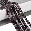 Natural Lepidolite/Purple Mica Stone Beads Strands G-P530-B06-02-2