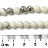 Natural Dendritic Jasper Beads Strands G-H298-A15-02-5