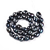 Natural Cultured Freshwater Pearl Beads Strands PEAR-N014-09A-05-3