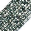 Frosted Natural Tree Agate Beads Strands G-K389-C15-01-1