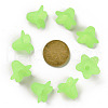 Transparent Acrylic Beads PLF018-05-3