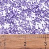 MIYUKI Delica Beads SEED-X0054-DB1347-1