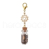 7 Chakra Natural Red Aventurine & Red Jasper & Green Aventurine & Tiger Eye & Synthetic Turquoise & Amethyst & Lapis Lazuli Chips inside Glass Wishing Bottle Pendant Decorations HJEW-JM03099-01-4