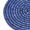 Natural Lapis Lazuli Beads Strands G-P575-B01-4x2mm-3
