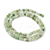 Natural Chrysoprase Beads Strands G-RM2025-A39-3mm-3