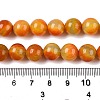 Dyed Natural White Jade Beads Strands G-T138-10mm-210-25-5