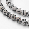Natural Dalmatian Jasper Bead Strands G-G735-68F-6mm-3