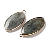 Natural Labradorite Pendants G-G063-03D-2