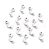 304 Stainless Steel Pendants STAS-F267-10Z-P-1