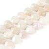 Natural Rainbow Moonstone Beads Strands G-G118-A01-01-2