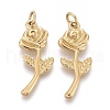 Valentine's Day Ion Plating(IP) 304 Stainless Steel Pendants X-STAS-I164-019G-2
