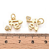Brass Micro Pave Cubic Zirconia Charms KK-N265-31G-3