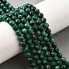 Natural Malachite Beads Strands G-G259-D14-5mm-1