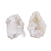 Natural Quartz Geode Cornucopia Mineral Specimen DJEW-M014-02A-2