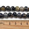 Natural Sodalite Beads Strands G-F591-13-5