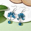 Natural Apatite Dangle Earrings EJEW-JE05747-04-2