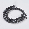 Natural Larvikite Beads Strands X-G-G542-10mm-27-2