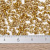 MIYUKI Delica Beads SEED-X0054-DB1681-4