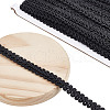 13M Polyester Centipede Lace Ribbons SRIB-WH0011-223C-1
