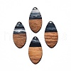 Transparent Resin & Walnut Wood Pendants RESI-N025-032-C-3