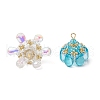 Glass & Seed Beads Pendants PALLOY-MZ00648-2