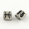 Tarnish Resistant Smooth Surface 304 Stainless Steel European Bead STAS-R079-A02-1
