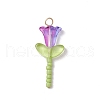 Glass Pendants PALLOY-JF03418-02-3