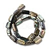 Natural Abalone Shell/Paua Shell Beads Strands BSHE-D300-01B-2
