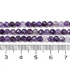 Natural Amethyst Beads Strands G-A252-A03-01-5
