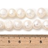 Natural Cultured Freshwater Pearl Beads Strands PEAR-A006-10B-5