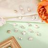 Preciosa® MAXIMA Crystal Fancy Stones Y-PRC-FD8-00030-200-2