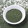 MIYUKI Delica Beads SEED-X0054-DB1135-2