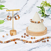 SUPERFINDINGS 2 Strands Natural Fossil Coral Beads Strands G-FH0002-34-5