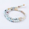 Frosted Natural Amazonite Round Bead Strands G-E334-4mm-09-2