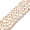 Natural Cultured Freshwater Pearl Beads Strands PEAR-I007-01L-01A-2