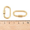304 Stainless Steel Locking Carabiner STAS-C092-09B-G-3