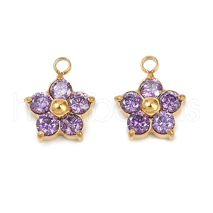 304 Stainless Steel Micro Pave Cubic Zirconia Charms STAS-B088-01G-05-1