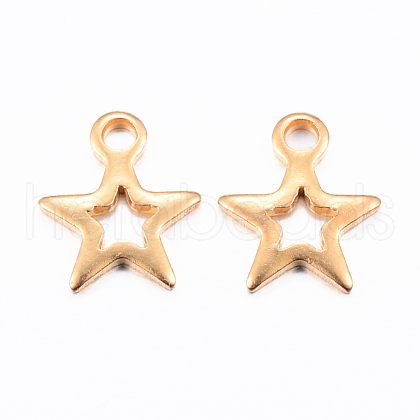 Ion Plating(IP) 304 Stainless Steel Charms X-STAS-H392-01G-1