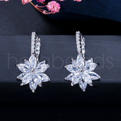 Brass Cubic Zirconia Hoop Earrings WGBE890-04-1