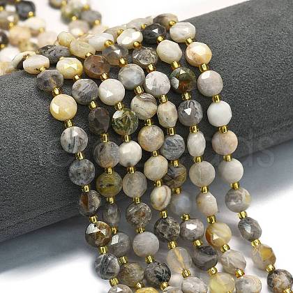 Natural Bamboo Leaf Agate Beads Strands G-C116-A34-02-1