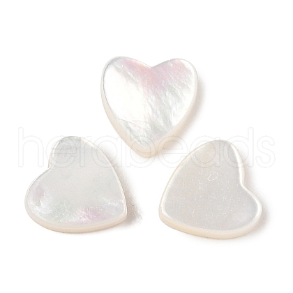 Natural White Shell Beads SSHEL-I026-09-1