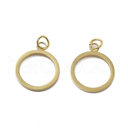 304 Stainless Steel Pendants STAS-D302-15G-1