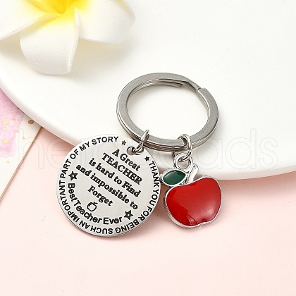 Alloy Enamel & 201 Stainless Steel Keychain KEYC-YW00091-04-1