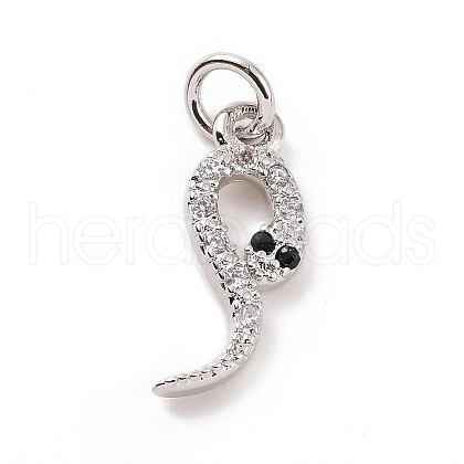Brass Micro Pave Cubic Zirconia Charms KK-C012-09P-1