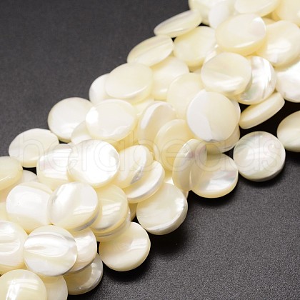Natural Trochid Shell/Trochus Shell Beads Strands SSHEL-K016-03B-1