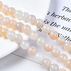 Natural Crackle Agate Beads Strands G-S359-240B-2-5