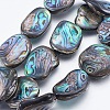 Natural Abalone Shell/Paua Shell Beads Strands SSHEL-P014-04-3